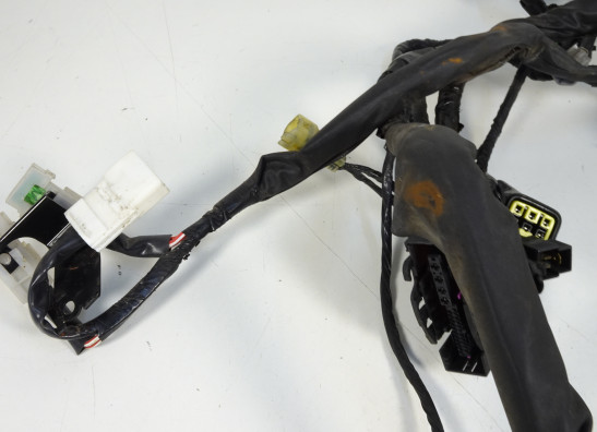 Kabelbaum Kawasaki ER 6