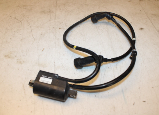 Bobine Yamaha XJ 900 S Diversion
