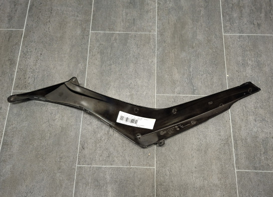 Carenado trasero BMW R 1200 R
