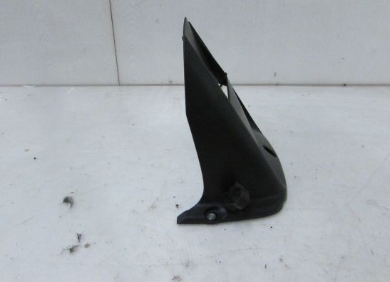 Achterspatbord Yamaha YZF R6