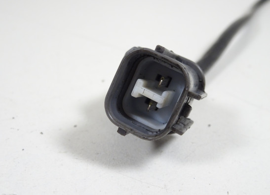 Nokkenas Kawasaki Z 1000