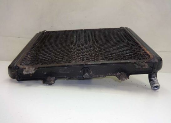 Kuhler Kawasaki GPX 600