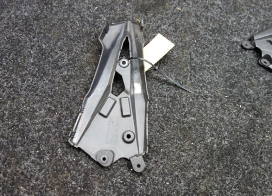 Linker zijkuip klein Kawasaki Z 800