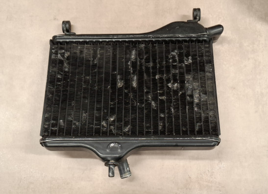 Radiator Yamaha RD 350 LC