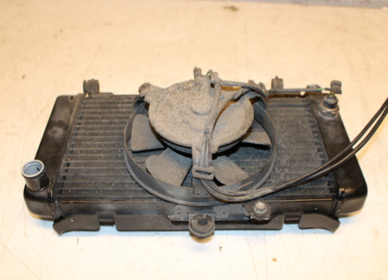Radiateur Honda CBF 500