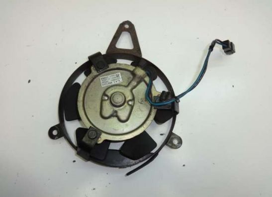 Ventilator Yamaha YZF 600 Thundercat