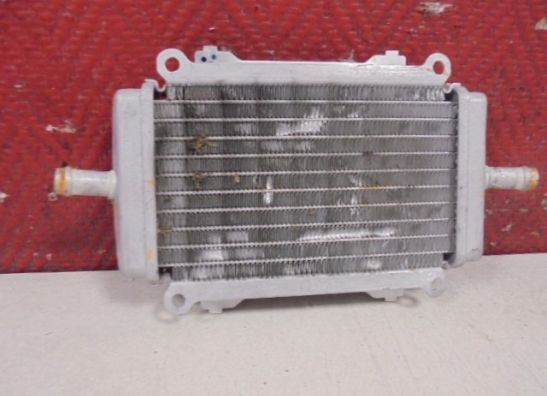 Radiateur Vespa Gts 300 2008-2013