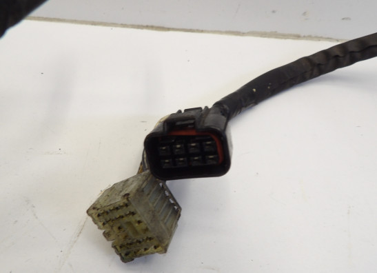 Kabelboom Suzuki SV 650