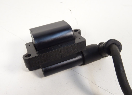 Bobine Ducati monster 696