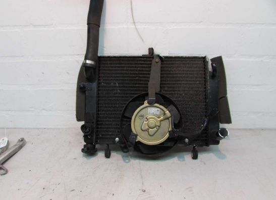 Radiateur Yamaha YZF R6