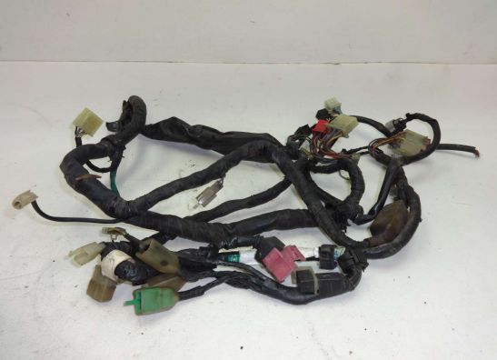 Wire Harness Honda PC 800