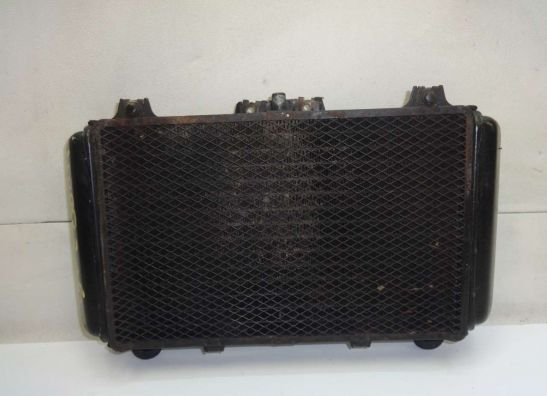 Radiator Kawasaki GPZ 600