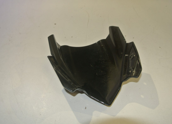 Windschild Kawasaki Z 650