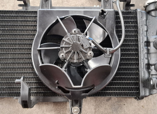 Radiateur BMW F 700 GS