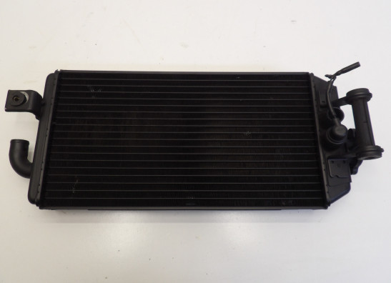 Kuhler Suzuki VS 800 Intruder