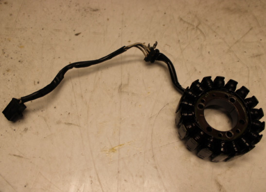 Dynamo Kawasaki ER 6