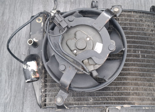 Kuhler Honda CBR Fireblade