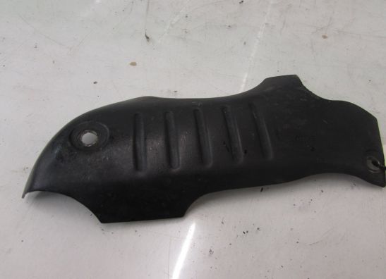 Uitlaat Triumph Tiger 900