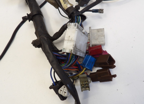 Kabelboom Yamaha FAZER 600