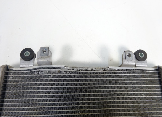 Radiateur Kawasaki Ninja 300