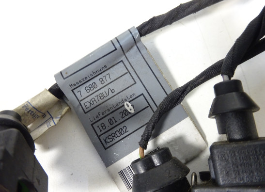 Wire Harness BMW F 800 S - ST