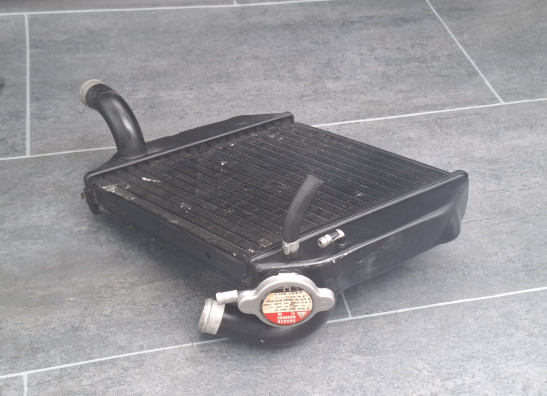 Radiator Buell 1125 R