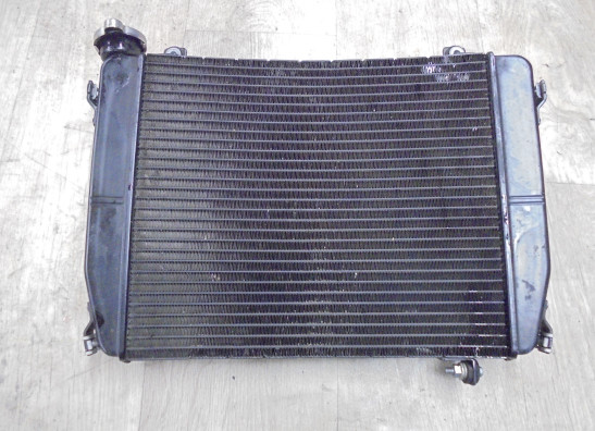 Radiateur Aprilia RS 660