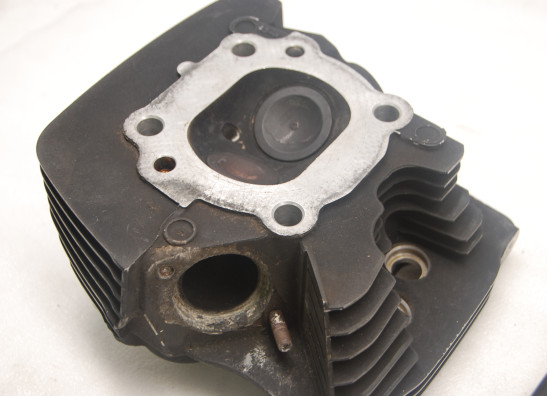 Cilinderkop Harley Davidson Softtail