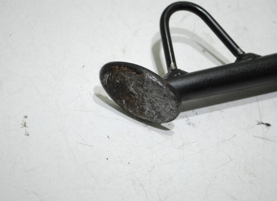 Standaard Kawasaki Ninja 300