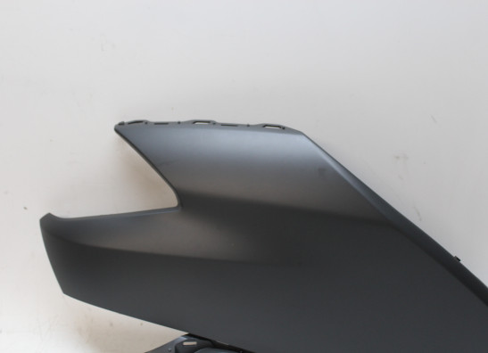 Kanzel links Yamaha XP 500 T-Max