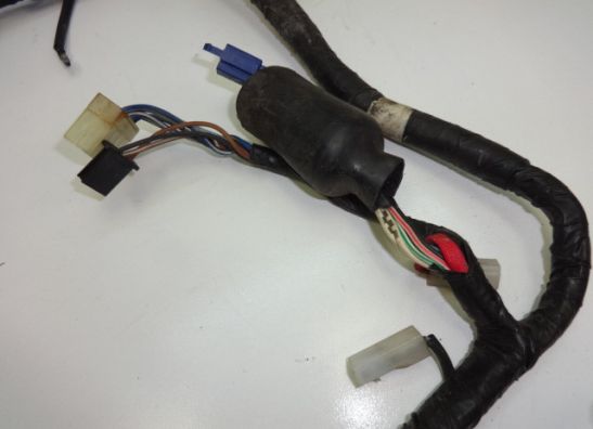 Kabelbaum Yamaha TDM