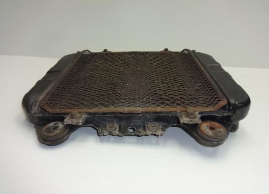 Radiateur Kawasaki ZZR 250