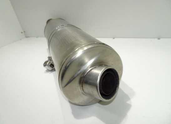 Auspuff BMW F 650 GS