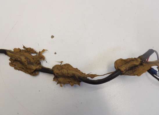 Rear light Chopper universeel Chopper universeel