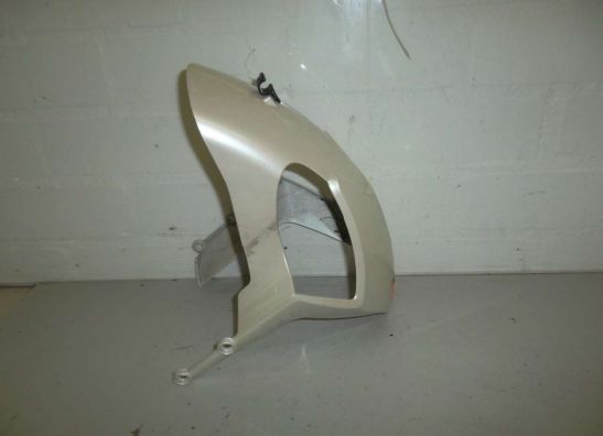 Front fender Triumph Speed Triple 1050