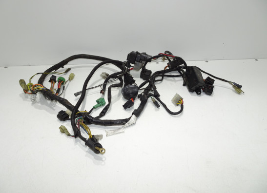 Kabelboom Suzuki XF 650 Freewind 1997-1999
