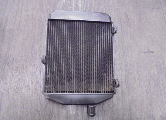 Radiateur Triumph Tiger 1200 Explorer GT PRO