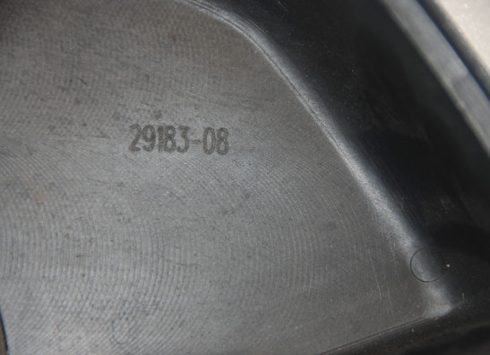 Air cleaner case Harley Davidson Dyna