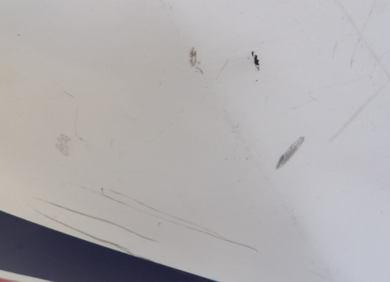 Rechter topkuip Honda VF 1000 F