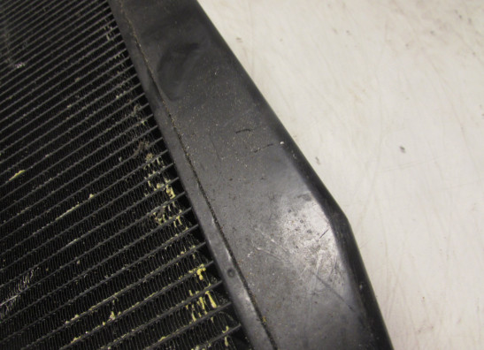 Kuhler Kawasaki ZXR 400