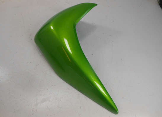 Seiten verkleidung links Kawasaki Z 750