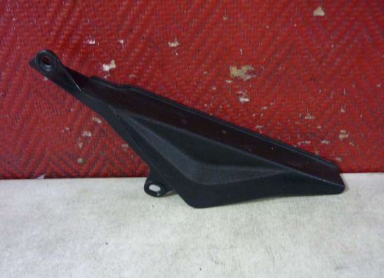 Chaincase Aprilia Tuono 1000