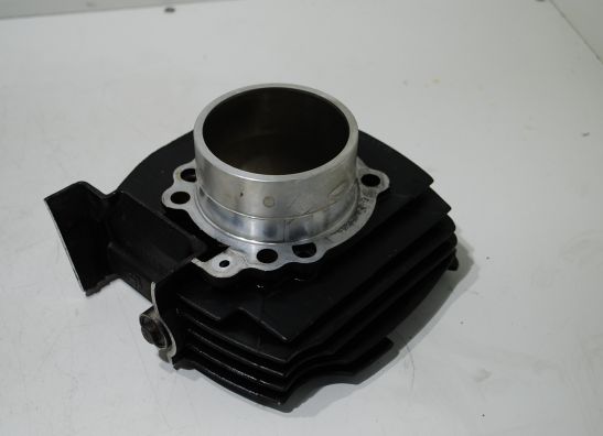 Cilinderblok Ducati 600 SS Supersport