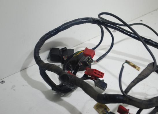 Wire Harness Honda CBR 1000 F
