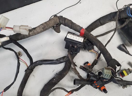 Kabelboom Aprilia Tuono 1000