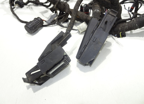 Kabelbaum BMW R 1200 GS