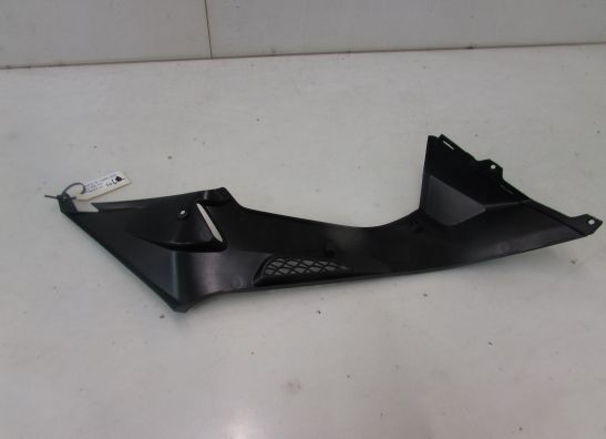 Linker zijkuip klein BMW S 1000 RR