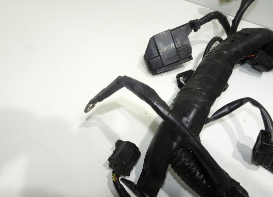 Kabelbaum KTM 1290 Super duke