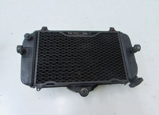Radiateur Yamaha TDM