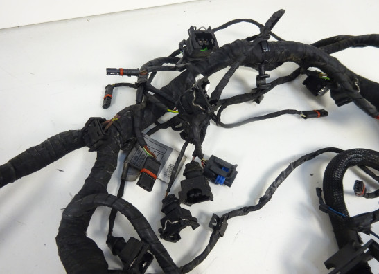 Kabelbaum BMW F 800 S - ST